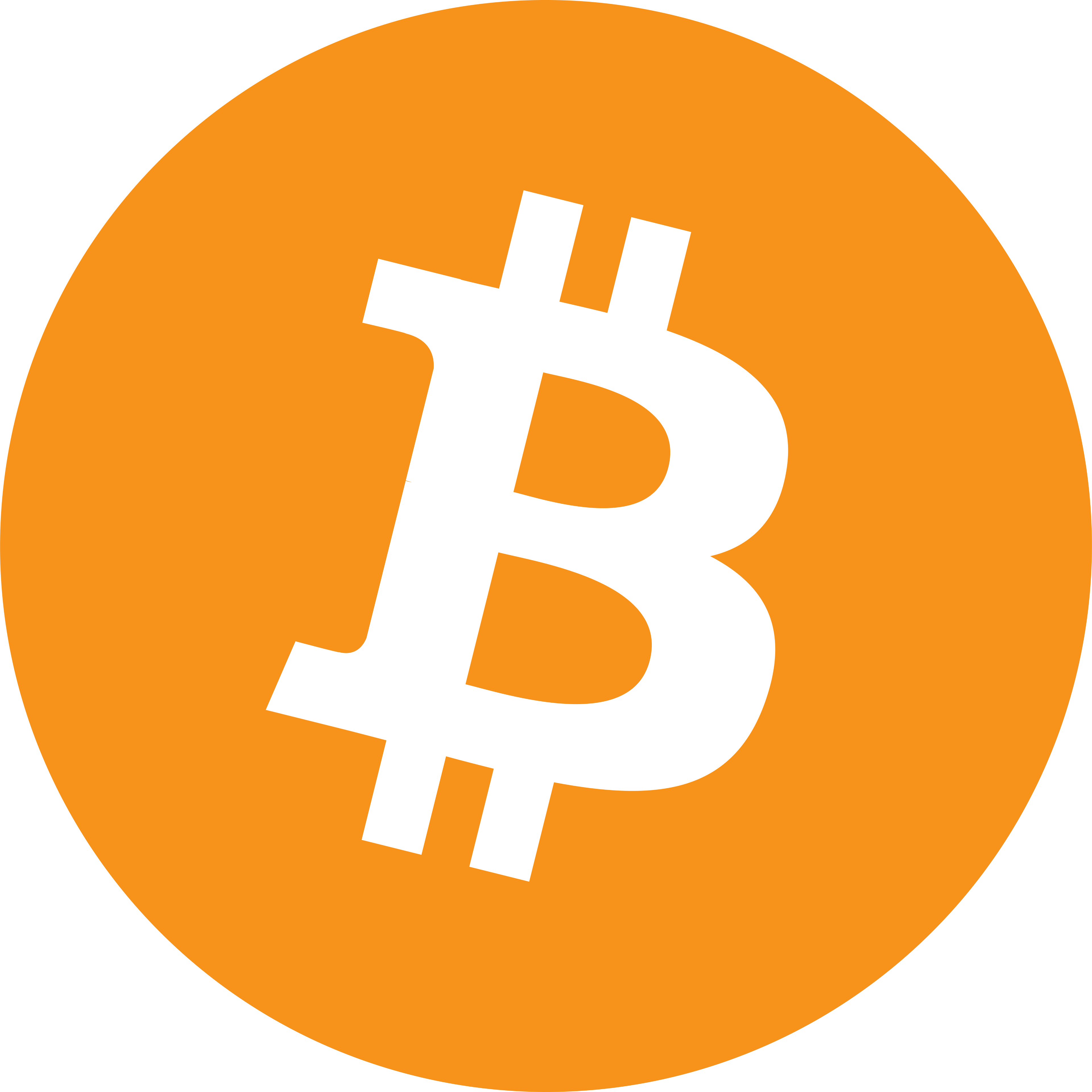 Bitcoin Miners
